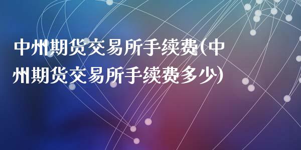 期货交易所手续费(期货交易所手续费多少)