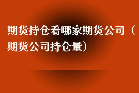 期货持仓看哪家期货公司（期货公司持仓量）