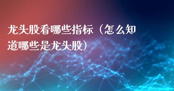 龙头股看哪些指标（怎么知道哪些是龙头股）