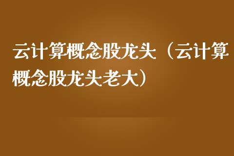 云计算概念股龙头（云计算概念股龙头老大）