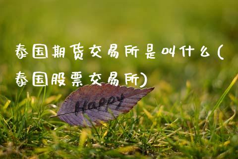 泰国期货交易所是叫什么(泰国股票交易所)