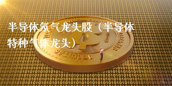 半导体氖气龙头股（半导体特种气体龙头）