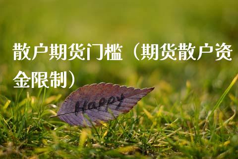 散户期货门槛（期货散户资金限制）