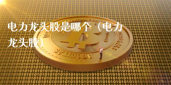 电力龙头股是哪个（电力 龙头股）