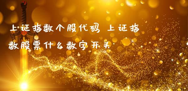 上证指数个股代码 上证指数股票什么数字开头