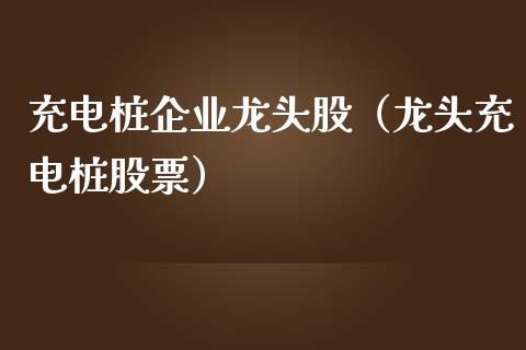 充电桩企业龙头股（龙头充电桩股票）