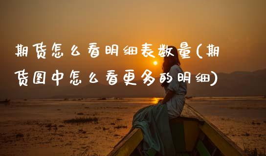 期货怎么看明细表数量(期货图中怎么看更多的明细)