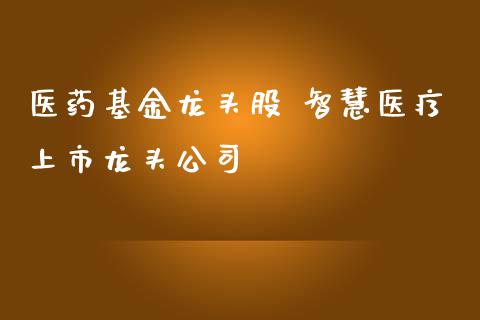 医药基金龙头股 智慧医疗上市龙头公司