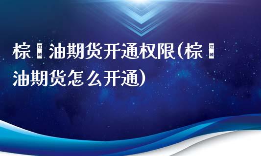 棕榈油期货开通权限(棕榈油期货怎么开通)