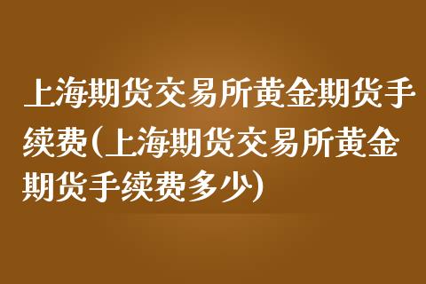 上海期货交易所黄金期货手续费(上海期货交易所黄金期货手续费多少)