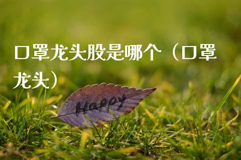 口罩龙头股是哪个(口罩 龙头)_财经要闻_第1张_宇龙理财网 口罩龙头股是哪个(口罩 龙头)_https://www.dglong8.com_财经要闻_第1张