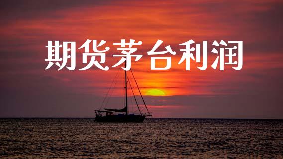 期货茅台利润
