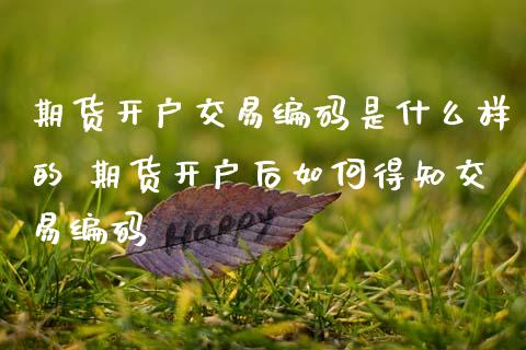 期货开户交易编码是什么样的 期货开户后如何得知交易编码