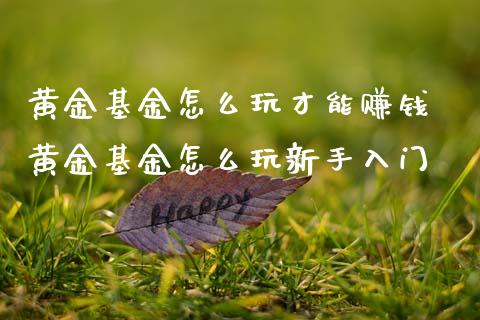 黄金基金怎么玩才能赚钱 黄金基金怎么玩新手入门_基金理财_第1张_宇龙理财网 黄金基金怎么玩才能赚钱 黄金基金怎么玩新手入门_https://www.dglong8.com_基金理财_第1张