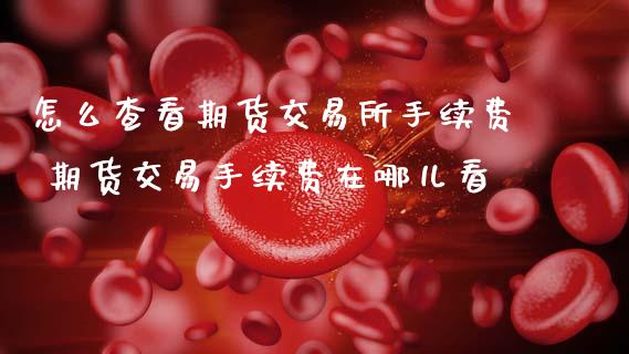怎么查看期货交易所手续费 期货交易手续费在哪儿看