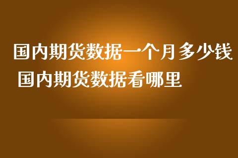 国内期货数据一个月多少钱 国内期货数据看哪里_https://www.dglong8.com_内盘期货_第1张