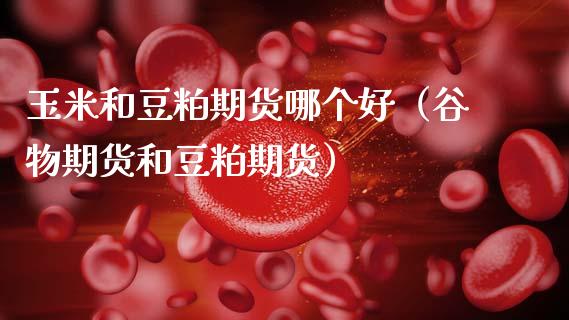 玉米和豆粕期货哪个好（谷物期货和豆粕期货）