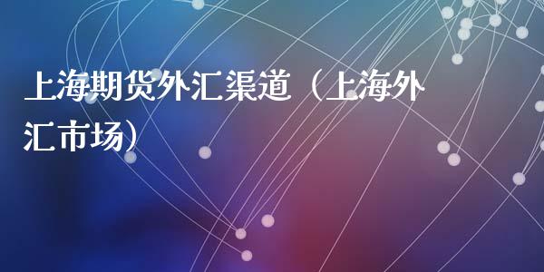 上海期货外汇渠道（上海外汇市场）