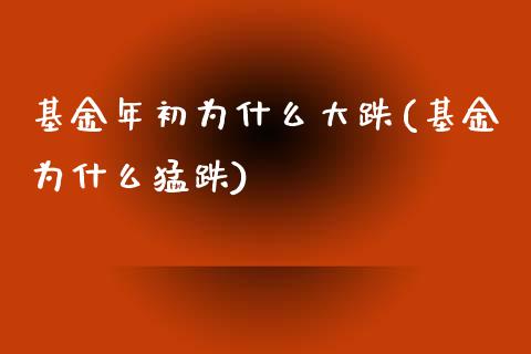 基金年初为什么大跌(基金为什么猛跌)
