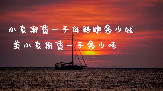 小麦期货一手能赔赚多少钱 美小麦期货一手多少吨
