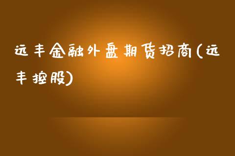 远丰金融外盘期货招商(远丰控股)
