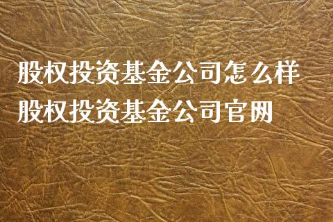 股权投资基金公司怎么样 股权投资基金公司