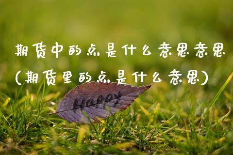 期货中的点是什么意思意思(期货里的点是什么意思)