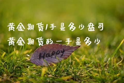 黄金期货1手是多少盎司 黄金期货的一手是多少