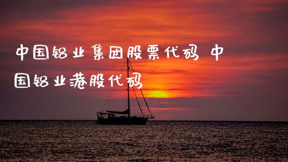 中国铝业集团股票代码 中国铝业港股代码