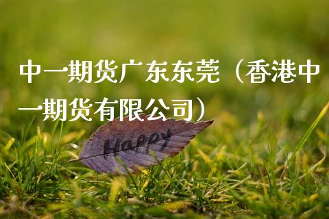 期货广东东莞（香港期货有限公司）