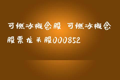可燃冰概念股 可燃冰概念股票龙头股000852