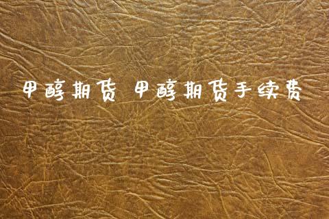 甲醇期货 甲醇期货手续费