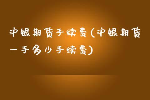 沪银期货手续费(沪银期货一手多少手续费)