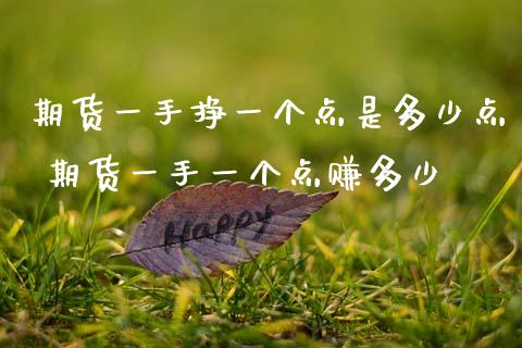 期货一手挣一个点是多少点 期货一手一个点赚多少