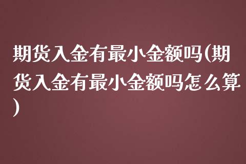 期货入金有最小金额吗(期货入金有最小金额吗怎么算)