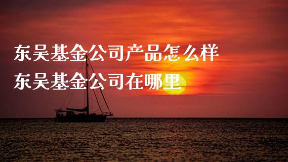 东吴基金公司产品怎么样 东吴基金公司在哪里