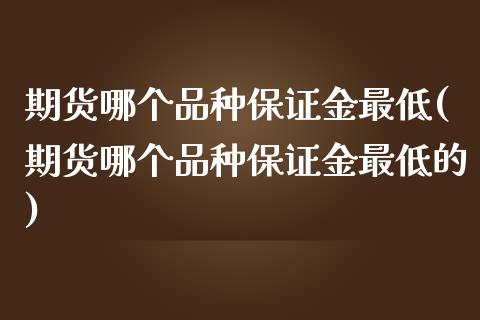 期货哪个品种保证金最低(期货哪个品种保证金最低的)