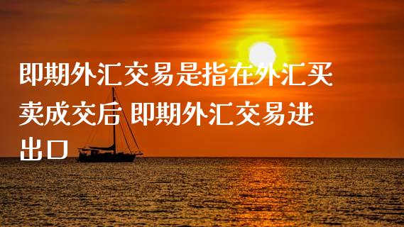 即期外汇交易是指在外汇买卖成交后 即期外汇交易进出口