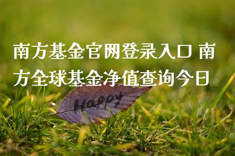 南方基金登录入口 南方全球基金净值查询今日