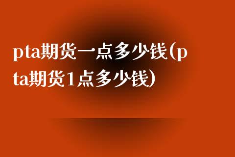 pta期货一点多少钱(pta期货1点多少钱)