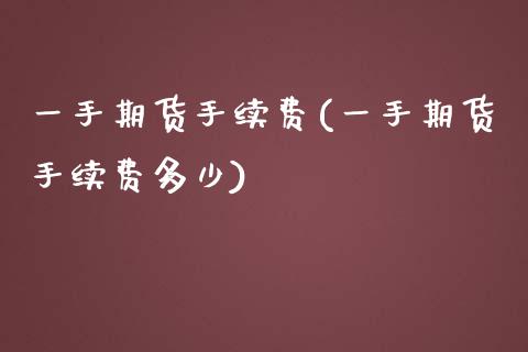 一手期货手续费(一手期货手续费多少)