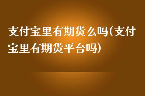 支付宝里有期货么吗(支付宝里有期货平台吗)