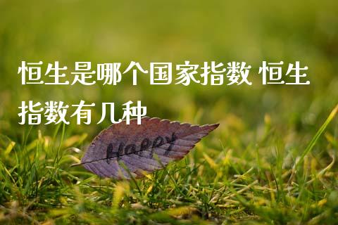 恒生是哪个国家指数 恒生指数有几种