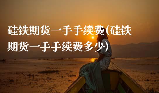 硅铁期货一手手续费(硅铁期货一手手续费多少)