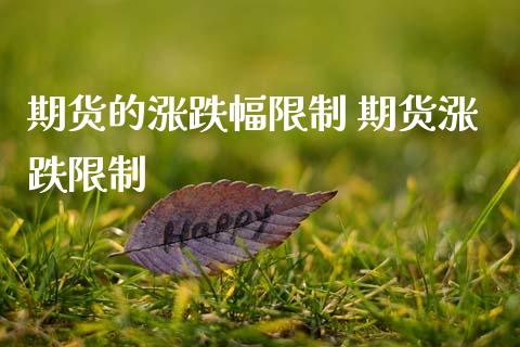 期货的涨跌幅限制 期货涨跌限制