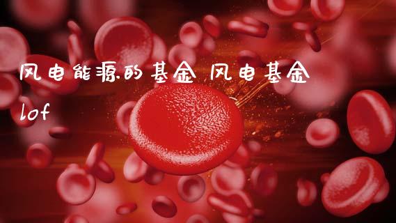 风电能源的基金 风电基金lof