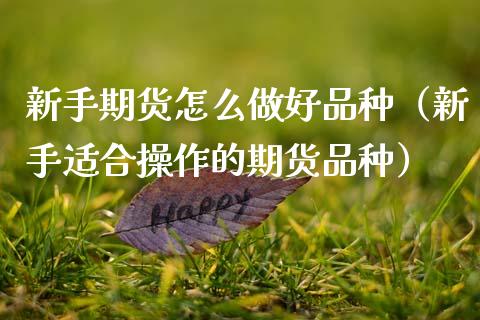 新手期货怎么做好品种（新手适合操作的期货品种）