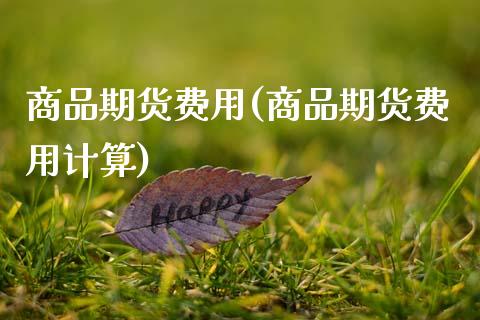 商品期货费用(商品期货费用计算)_期货理财_第1张_宇龙理财网 商品期货费用(商品期货费用计算)_https://www.dglong8.com_期货理财_第1张