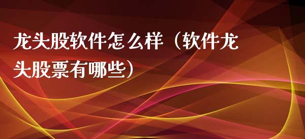 龙头股软件怎么样（软件龙头股票有哪些）
