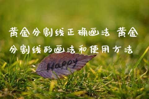 黄金分割线正确画法 黄金分割线的画法和使用方法